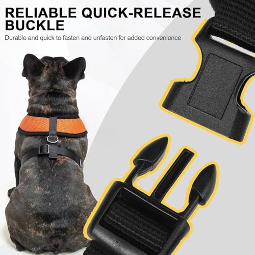 Small Dog Harness (XL (NECK: 20.5", CHEST: 20.5"-27") / Orange)