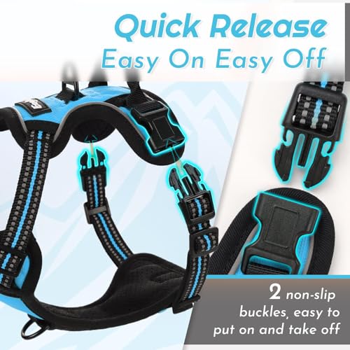 Dog Harness for Small Dogs (X-Small / Sky Blue)