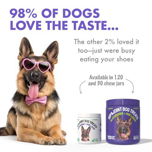 Hemp Hip & Joint Supplement for Dogs Soft Chews Made in USA Functional Glucosamine for Dogs Chondroitin MSM Turmeric Hemp Seed Oil Natural Pain Relief Mobility Advanced Joint 120 Treats (Hip&Joint / 120)