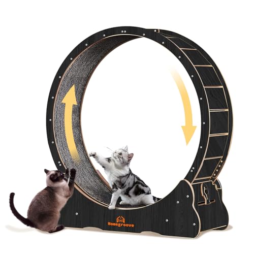 Cat Wheels for Indoor Cats (XL / Black)