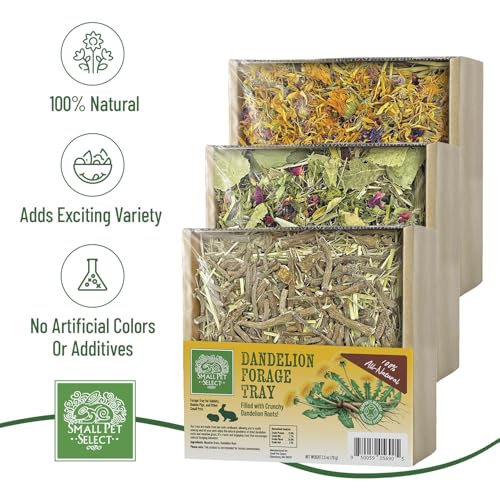 Forage Tray Bundle