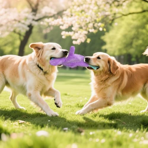 3 Pack No Stuffing Dog Toys (3-color)