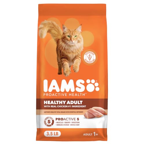 Proactive Health Healthy Adult Dry Cat Food (7 Pound (Pack of 1))