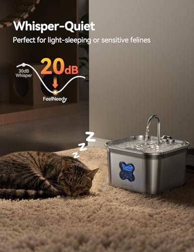 Cat Water Fountain