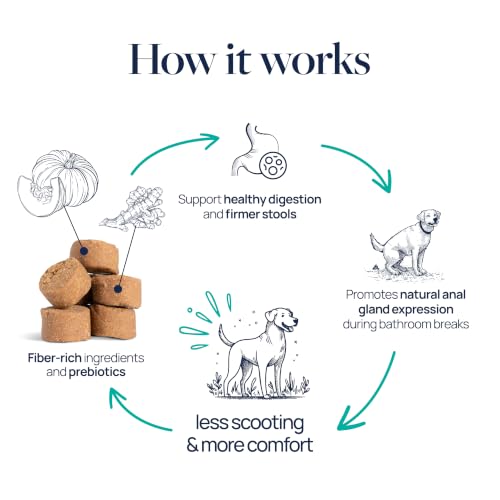 Smart Vitality Anal Gland Soft Chews for Dogs (60 ct / Anal Gland Support)