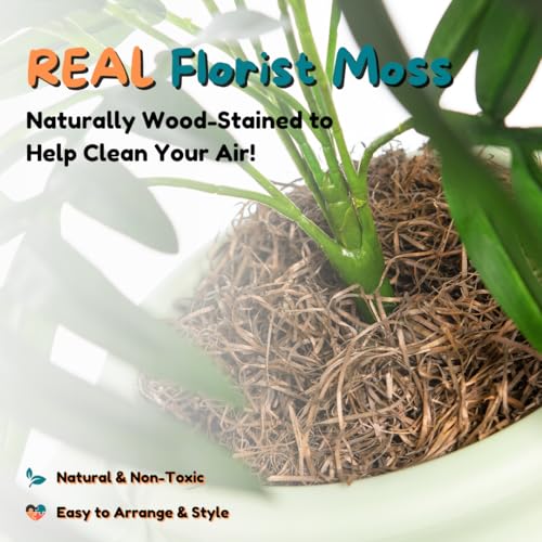 Original Hidden Litter Box Planter (Seagrass Green)