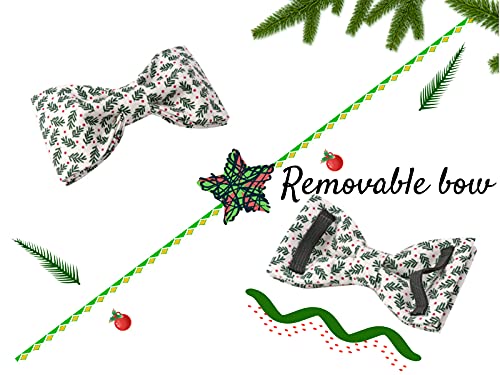Christmas Dog Collar (Christmas Green / Small (Pack of 1))