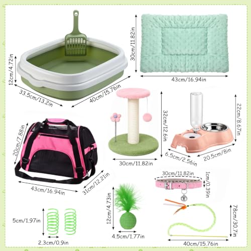 10 Pcs Kitten Starter Kit for Indoor (Classic / Medium / Pink Green)