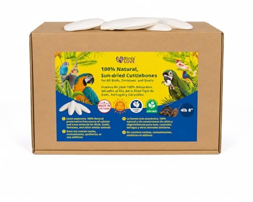 7.5 8" Cuttlebones for Birds