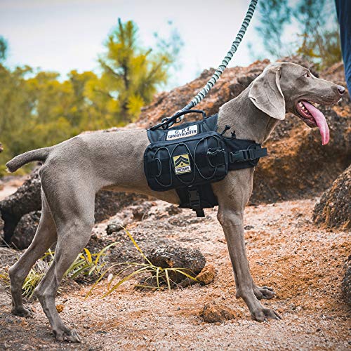 Dog Backpack for Medium & Large Dogs (Black / Medium)