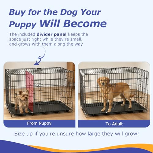 48" Foldable Metal Dog Crate (Dark Black)