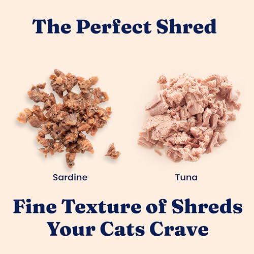 Wet Cat & Kitten Food (24 Pack)
