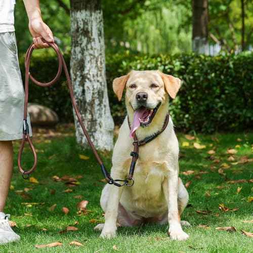 Rope Dog Leash (Yellow / 4FT*0.51" Single Handle)