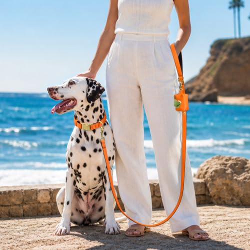 Soft Padded Dog Collar for Large Dogs (Orange / L：Fit 16-22" Neck, Width 1")