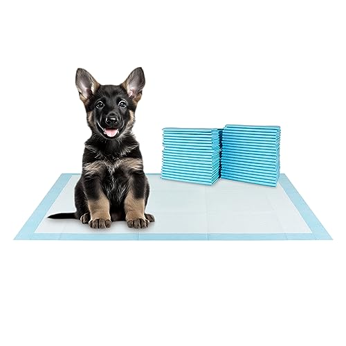 XXL Puppy Pads 20 Count 36" x 30" (XXL / 20-Count (Standard))