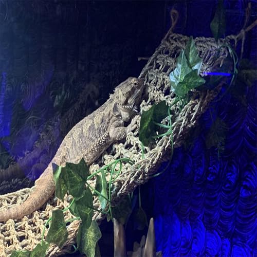 Bearded Dragon Large Hammock