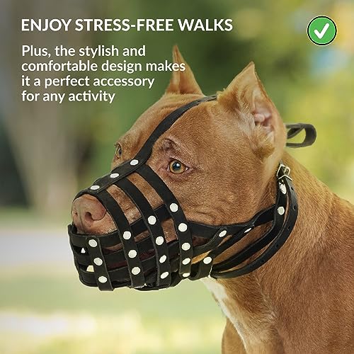 Leather Basket Muzzle for Pitbull & Amstaff (Brown Strap)