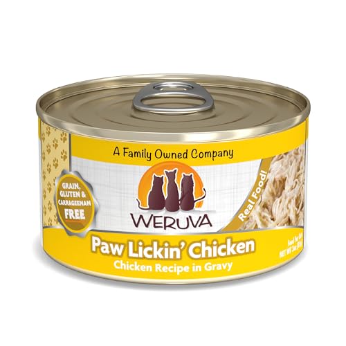 Classic Cat Food (3 Ounce (Pack of 24))