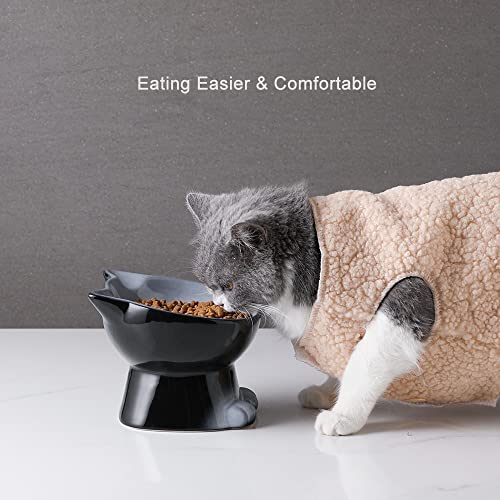 Elevated Cat Bowls (6.8 OZ+15.5 OZ / Gray)