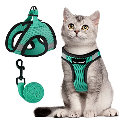 Cat Harness & Leash Set (Green / XXL(Chest 16-18"))