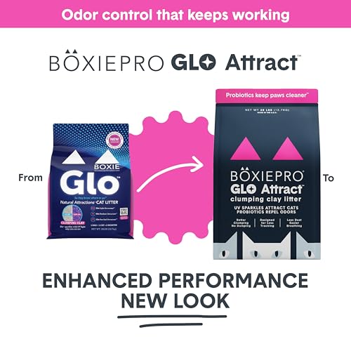 Boxie Glo Attract Clumping Cat Litter 40+ Day Odor Control Dust Free 28 lb (28 lb)