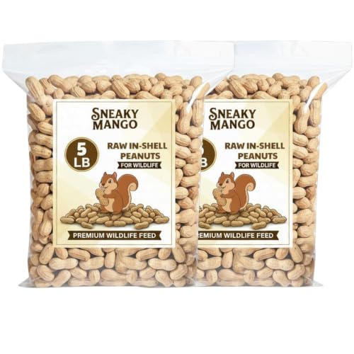 Raw Peanuts in Shell (5 Pound (Pack of 2))