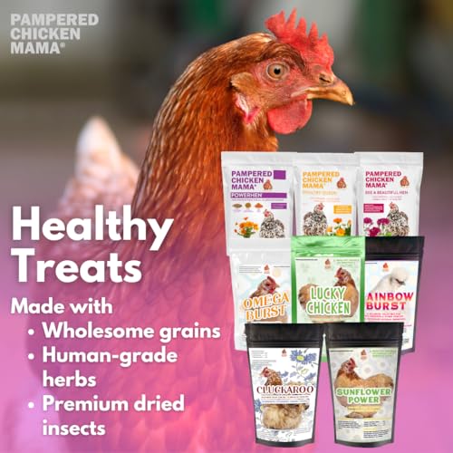 Chicken Treat for Hens 8 Pounds Sampler Bundle