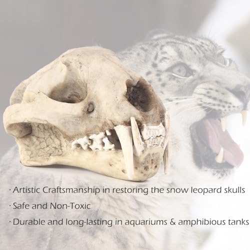 Aquarium Décor Cave Decorations Fish Hideout Betta Tarantula Reptile Snake for Terrarium Ornament Dinosaur Animal Skull Large Bones Halloween (Leopard)