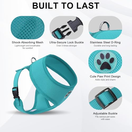 Small Dog Harness (S (NECK: 12", CHEST: 14"-18") / Aqua)