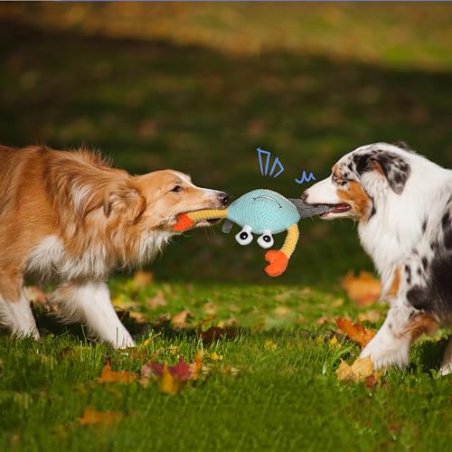 Dog Toys for Aggressive Chewers