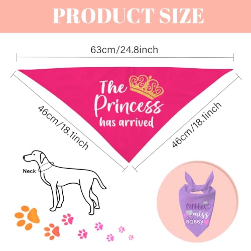 Puppy Bandana 2 Pcs (Sassy)