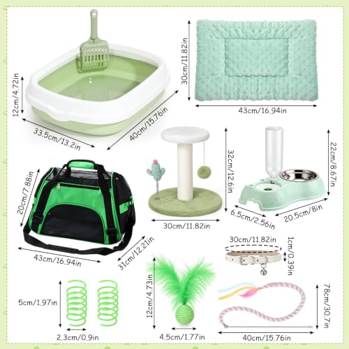 10 Pcs Kitten Starter Kit for Indoor (Classic / Medium / Green White)