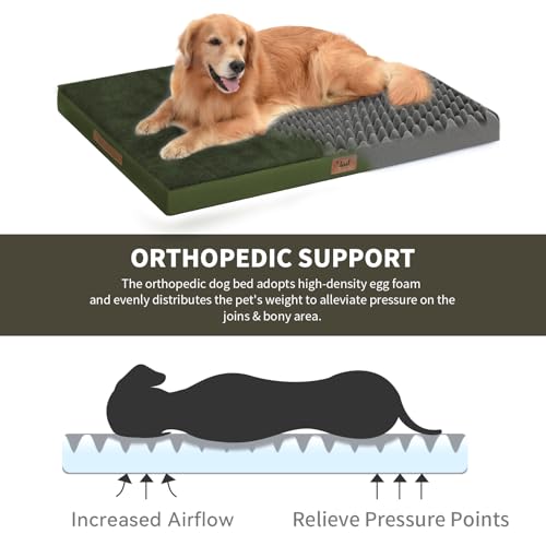 Outdoor Extra Large Dog Bed XXL for Giant Breed Dogs (Olive Green / 47.0"L x 29.0"W x 3.5"Th)