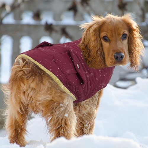 XS Waterproof Dog Winter Coat Plush Lining Warm Puffer Jacket (X-Small / Burgundy)