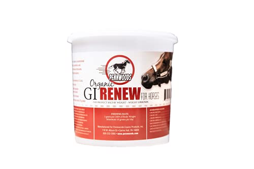 GI Renew Digestive Horse Supplement Powder (1 lb)