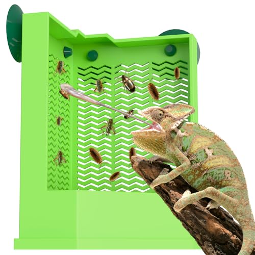 Reptile Feeder Bowl (Corner Mounted Feeding Dish / Large)