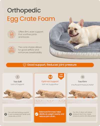 Orthopedic Dog Bed (M: 30"L x 20"W x 7"Th / Light Gray)