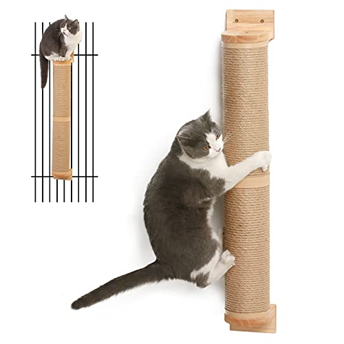 Cat Scratching Post