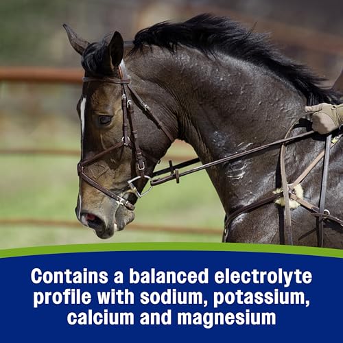 Apple Elite Electrolyte Paste Supplement for Horses (60 cc)