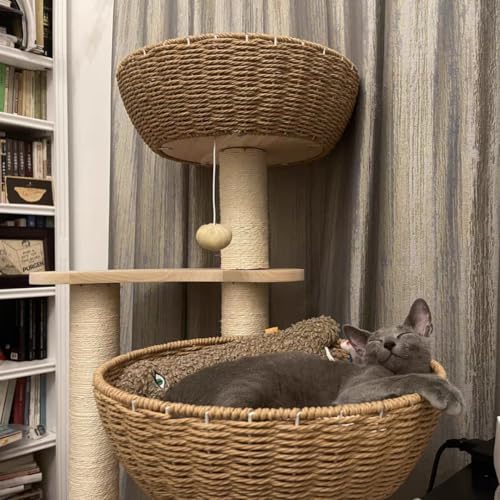 Modern Wood Cat Tree for Large Cats (Large-O1)