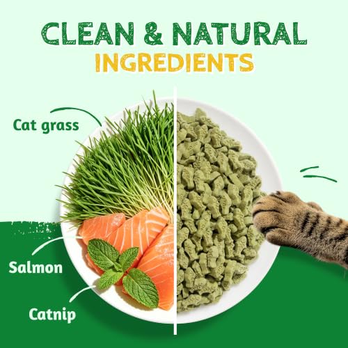 Cat Grass Treats for Indoor Cats Hairball Control 13.4 OZ (13.4 Ounce (Pack of 1))