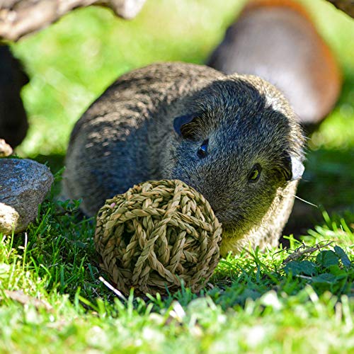 10 Pcs Small Animals Play Balls Rolling Activity Chew Toys Gnawing Treats for Rabbits Guinea Pigs Chinchilla Bunny Natural Balls (10Pcs)