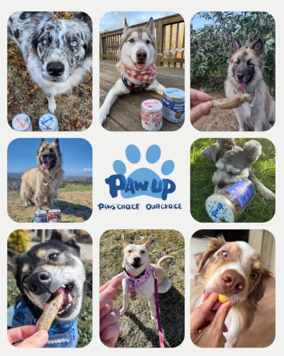Freeze Dried Minnows Dog Treats