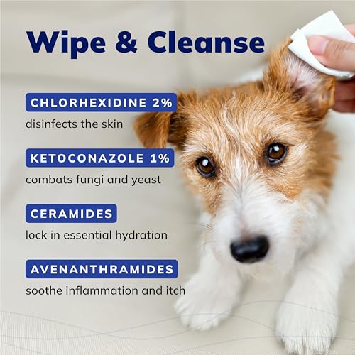 CeraSoothe CHX+KET Antiseptic Wipes for Dogs (30 Count (8 Fl Oz))