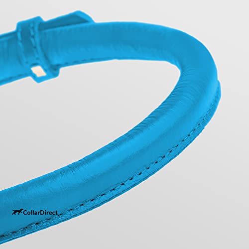 Tangle Free Rolled Leather Dog Collar
