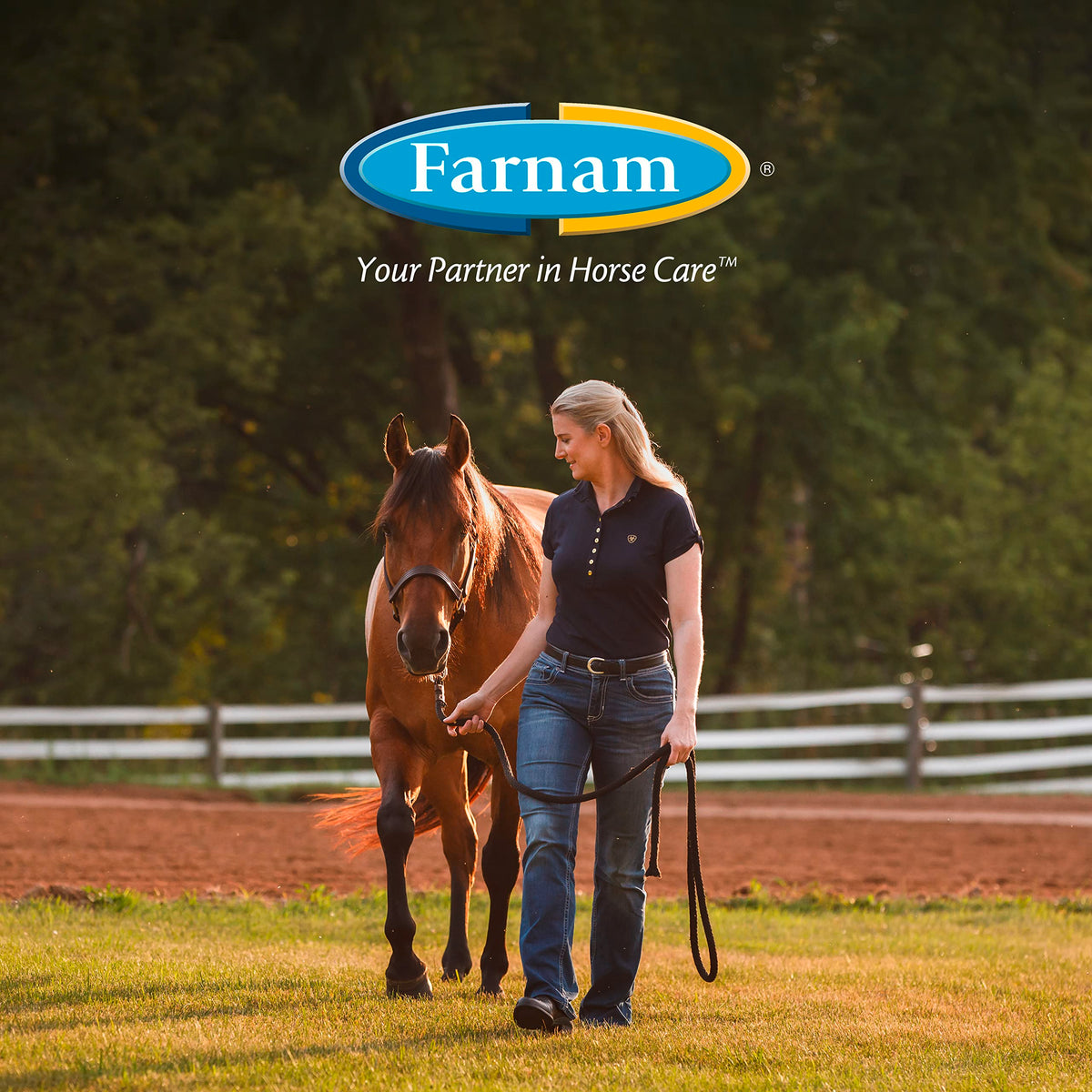 Horseshoer's Secret Pelleted Hoof & Biotin Supplements (Original formula / 22 pounds)