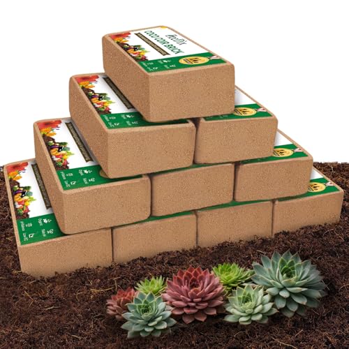 10 Pcs Coco Coir Brick for Plants (10pcs)