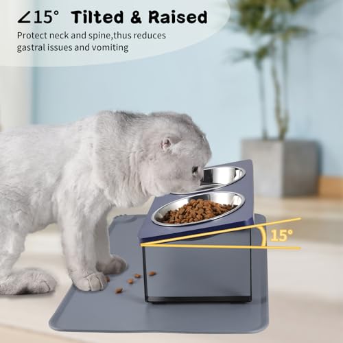 Upgraded Elevated Cat Bowls with Food Mat