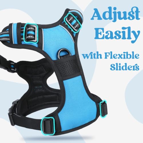 Dog Harness for Large (Large / Sky Blue)