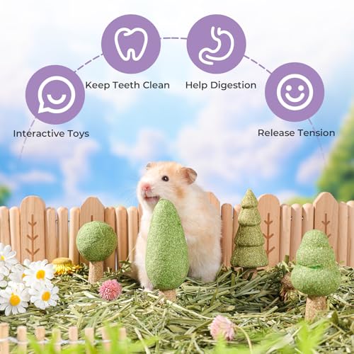 Hamster Chew Toys for Teeth